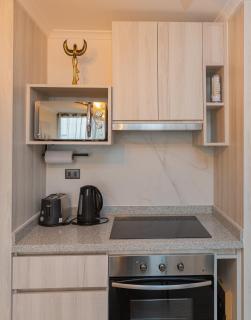 Departamento, Centro Concepción - 7