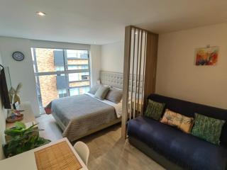 Excellence-Comodo Aparta-Studio Chapinero Central - 0