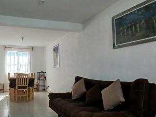 Casa de descanso en privada, jardín, alexa,asador y mascota - Toluca - 6