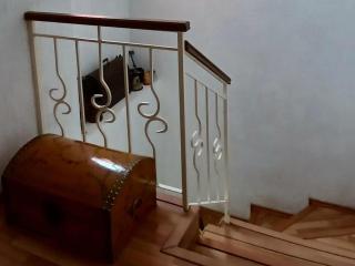 Casa de descanso en privada, jardín, alexa,asador y mascota - Toluca - 1