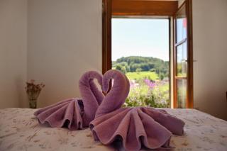 B&B Casa Solaris - - 2