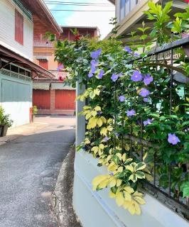 Room and the city - Trat - 8