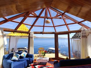 Luna Titicaca Grebe - 7