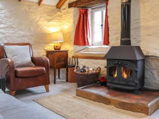 Rhydlanfair Cottage - 8