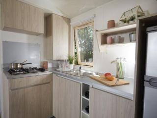 Mobil-home avec terrasse à Bretignolles-sur-Mer, 6 pers., 3 chambres - API-1-52-389 - Brétignolles-sur-Mer - 9
