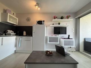 Studio moderne à deux pas de la plage avec climatisation - FR-1-250-322 - 8