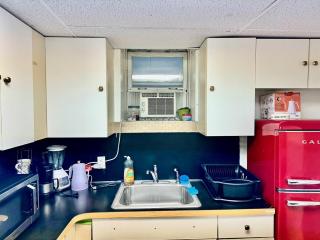 2 Bedroom Apt in LIC, Private WITH BACKYARD ! - 2