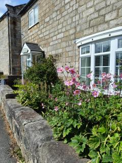 Three Bedroom Countryside Cottage - Darley - 2