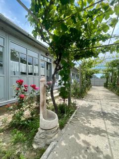 Casa din Port - 4