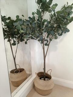 Three Bedroom Countryside Cottage - 3