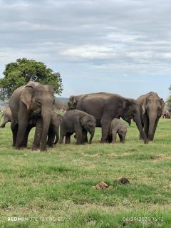 Prasanna Hotel and Rest - 7