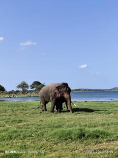 Prasanna Hotel and Rest - 8