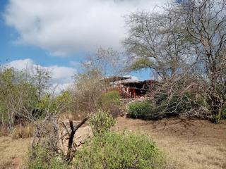 Kombo Cottage, in Nyika Bird Sanctuary - Mtito Andei - 1