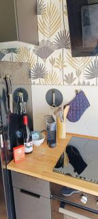 Studio Neuf idéalement placé avec TERRASSE et JARDIN - 6