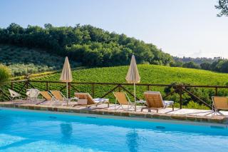 Podere Vergianoni immerso nelChianti con piscina - 6