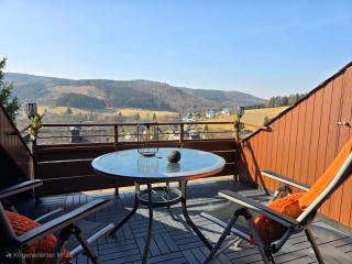 Tannenherz mit Balkon & Bergblick & Nähe Hillebachsee & 2 Schlafzimmer - Winterberg - 9