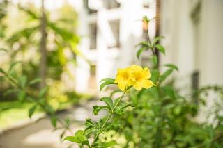 Le Nid - Plage & Confort - Saint-Paul - 8