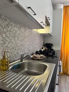 The Grand Palette - Luxury Central Apartment - Timişoara - 1