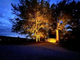 Lucas farm barn - 6