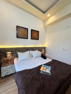 Elevate homestays - Greater Noida - 0