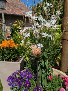 Irmgards Ferienwohnung - 5