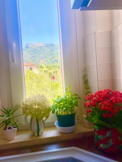 Casa La Wanda - Camaiore Toscana - 2 Br & Terrace - 4