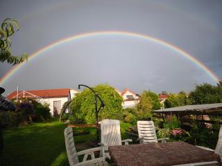 Oaza nad Krutynią - 5