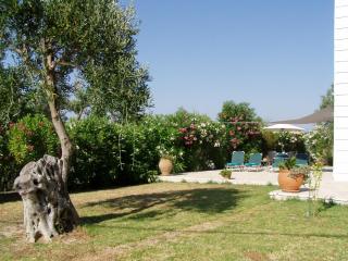 Villa Gecko, Arillas - Kavvadádes - 5