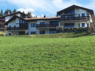 Casa Migiur 3,5 Zimmer-Apartment - Laax - 6