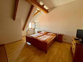 Hotelový a jezdecký areál Dvůr Krutěnice - Krutěnice - 4