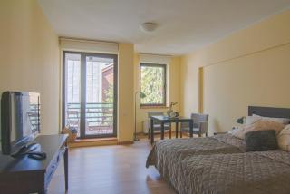 Deno Studio - Borovets - 4