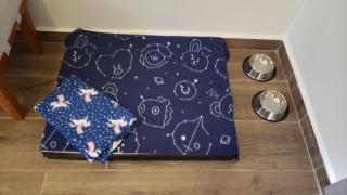 Tiny House na Pousada Hortelã-Pimenta - 1