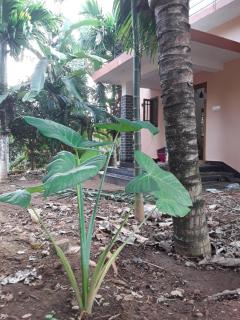 SriMahi Farmhouse - 0