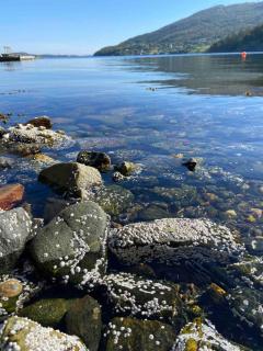 Sjønært drømmehus med panoramautsikt, nær Bergen - 5