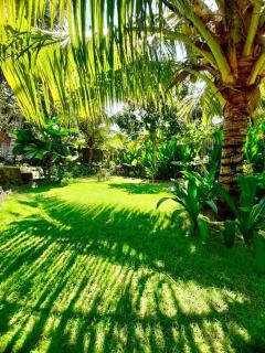 JEJU Cottages - Kuta Lombok - 6