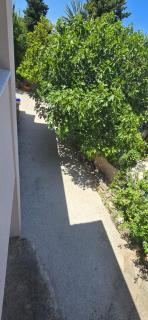 kuća za stanovanje ,cijeli prostor - 1