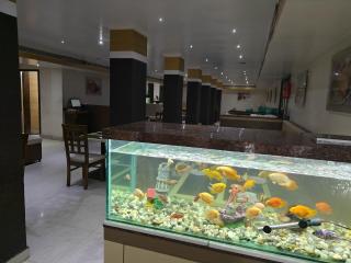 Hotel Grand Leela Krishna - Bhīmavaram - 6