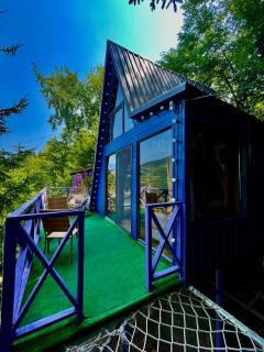 Forest House - 4
