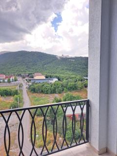 Alvina Apartment With a View - Tsaghkadzor - 3