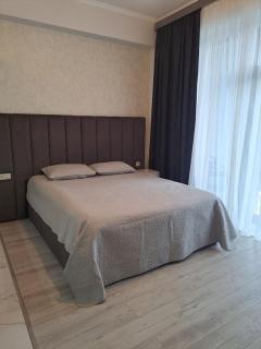 Alvina Apartment With a View - Tsaghkadzor - 5