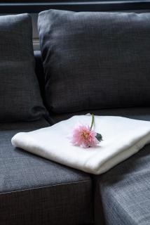 Lipowa Apartamenty - 3