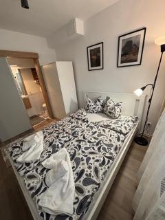 Brigitte Apartments - Sovata - 1