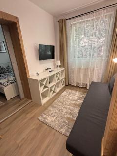 Brigitte Apartments - Sovata - 2
