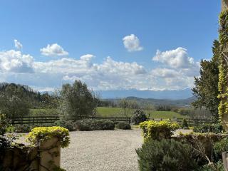 Boutiquezimmer Princesse - 8