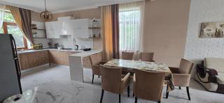 New Villa - Qabala - 1
