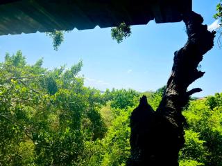 Lake Wind Resort & Restaurant - 0