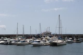 Cozy and Bright Apartment - Machico - 5