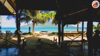 Djema Forest - Nosy Be - 7