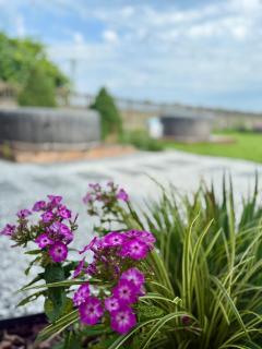 Agroturystyka Gorajeckie Roztocze - 9