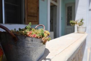 Traditional Maltese Townhouse with Backyard Garden and Seafront Location - 6